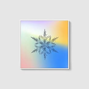 Framed Canvas Wall Art for Living Room, Bedroom Snowflake Theme Canvas Prints for Home Decoration Ready to Hang - 16x16 inches