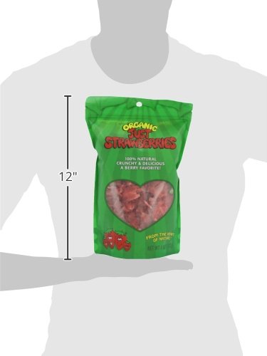 image for Karen's Naturals Organic Just Strawberries, 4 Ounce Pouch  Organic All