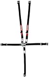 RaceQuip 709009 Black SFI 16.1 Jr. Dragster/Quarter Midget 5-Point Safety Harness Set
