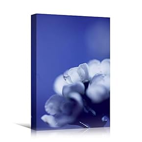 signwin Canvas Wall Art Blue Petals Close Up...