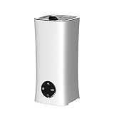 Rayem Ultrasonic humidifier creative aromatherapy