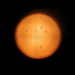Microscope DIV=0.1 Mm Microscope Eyepiece