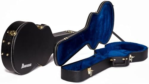 Amazon.com: Ibanez IC200C Iceman Case : Musical Instruments