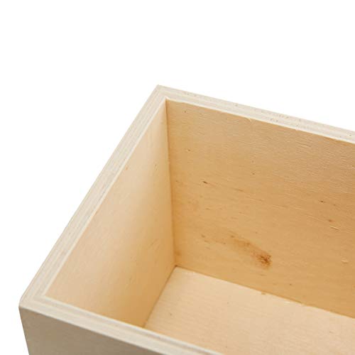 4 Genie+Crafts+Unfinished+Collectibles+Succulents