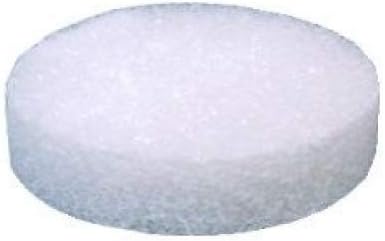 4'' Styrofoam Disc Disk for Arts \u0026 
