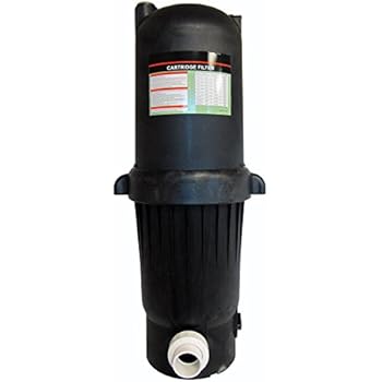 Amazon.com : Deluxe Cartridge Filter System with Pressure