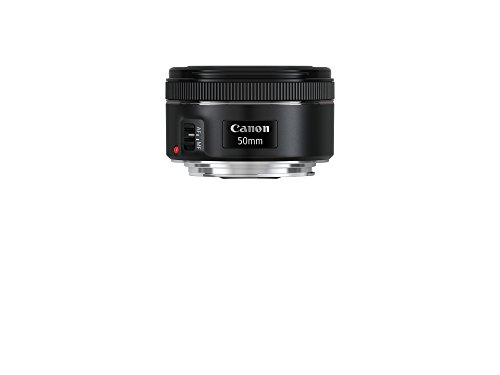 CANON Objectif EF 50mm f/1,8 STM pour Monture EF (Portrait, Reportage)