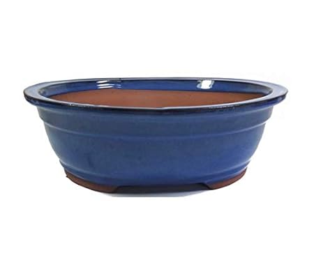 GREEN PARADISE Ceramic Planter Pot, 3-4 inch, Set of 3