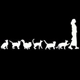 Cat Lady Decor Decals, Car Auto Truck Decals, Window Decals, Self-Adhesive Vehicle Sticker, Bumper Stickers