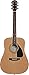 Fender FA-100 Dreadnought Acoustic Guitar - Natural Bundle with Gig Bag, Tuner, Strings, Strap, and Picks