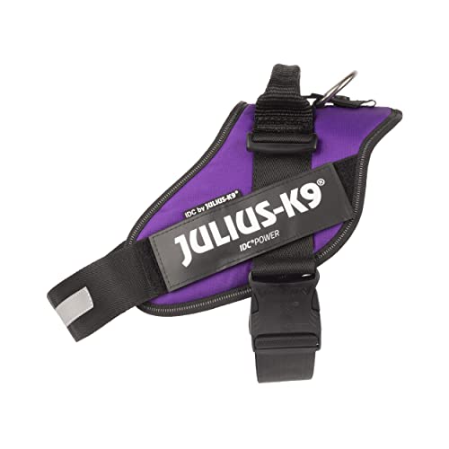 JULIUS-K9 IDC Powerharness, XL, no pull dog harness, Dark Purple