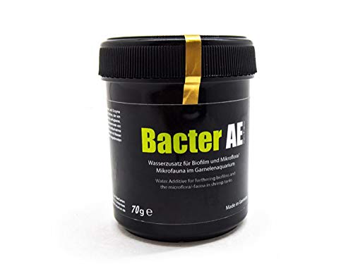 Glasgarten Bacter Ae Shrimp Tank Treatment (70G) | Nutrients For Live Freshwater Shrimp Food / Aquarium Water (Neocaridina, Amano, Red Cherry, Rili)