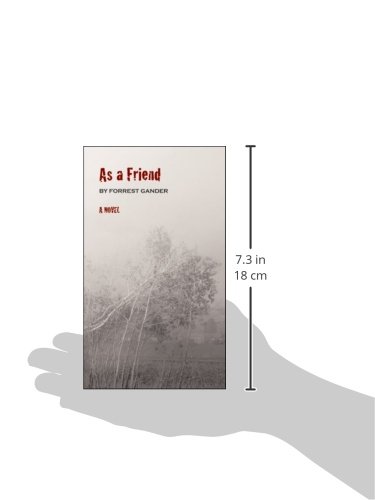 As a Friend: A Novel