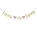Gold Glitter Love is Love Banner, Lgbt Pride Party Decorations, Coming Out, Engagement, Wedding Celebrations Party Decor Supplies