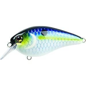 Strike King Kvd1.5 Carré Bill Crankbait, Juicy Shad, 2 1/5,1 Cm/7/453,6 Gram
