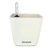 Aquaphoric Self Watering Planter (5") + Fiber Soil = Foolproof Indoor Home Garden. Decorative Planter Pot for All Plants, Flowers, Herbs, African Violets, Succulents. Easy Looks Great. (Ivory Matte)