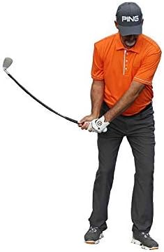 gold baseball helmet