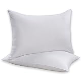 Beautyrest Sneeze Less Pillow, Two Pack, Standard