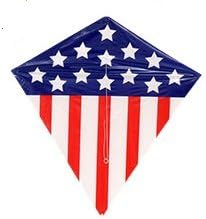 Kids Playtime Summer Fun Pool Lake Beach Fun Play Indoor Outdoor Biking Hiking USA American Flag Kite