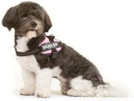 julius k9 harness size mini