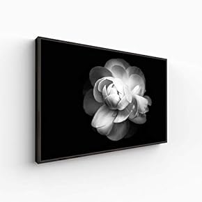 Canvas Wall Art for Living Room, Bedroom Monochrome Plants Framed Canvas Prints for Home Decoration Ready to Hang - 16x24 inches