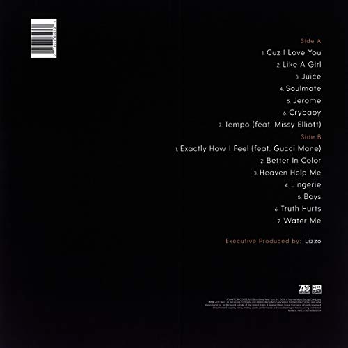 Cuz I Love You (Deluxe) (Vinyl) - //medicalbooks.filipinodoctors.org