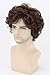 Topcosplay Mens Wigs Short Brown Curly Fluffy Cosplay Halloween Character Costume Wig Layered (Dark Brown)