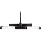 Rite Lite LPL601XLBRC battery operated Super Bright LED Picture Light