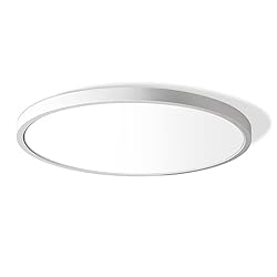12 Inch LED Flush Mount Ceiling Light