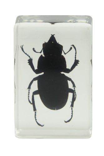 3 Celestron+44407+Specimen+Black+Yellow