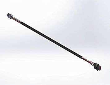 ecco safety director