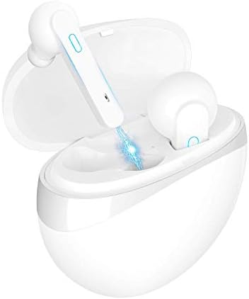 Wireless Earphones,Bluetooth Earphones Portable Bluetooth Headphones V5.0 Mini Bluetooh Ear Buds Stereo Sound 5H Playing Time with Mic and Charging Case for iPhone,Ipad,Android Smartphone