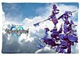 Hertanercase Kingdom Hearts Custom Zippered Soft Pillow Cases 20x30 (Two sides)