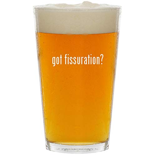 got fissuration? - Glass 16oz Beer Pint