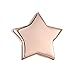 PAVOI 14K Gold Plated Star Stud Earrings - Rose