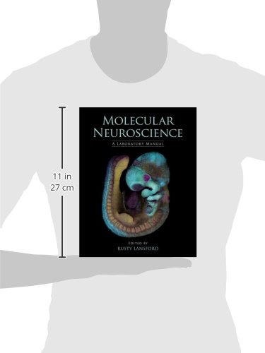 Molecular Neuroscience: A Laboratory Manual