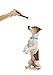 Pet Eden Sweet Potato Fries Dog Treats Made in USA Only, Best Grain Free Natural Healthy Snacks for Small Dogs, 1 lb, Free of Fillers, No Additives or Preservatives, Premium Vegan Dog Treat