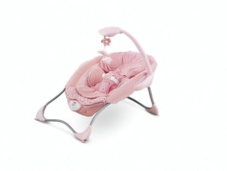 fisher price baby papasan infant seat