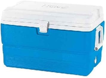 igloo 54 qt cooler