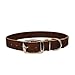 Warner Brand Cumberland Leather Dog Collar Free Engraved Brass ID tag (21
