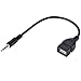 3.5mm Male AUX Plug Jack to USB Female Cord Converter Cable by JonesDaq