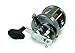 Shimano Tekota 700 Saltwater Star Drag Fishing Reel