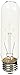Marina 15 Watt Clear Showcase Bulb, 2-Pack