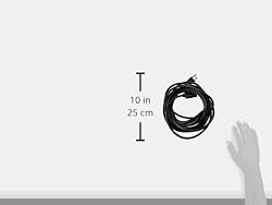 Tripp Lite Standard Computer Power Cord 10A,18AWG