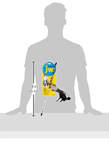 JW Pet Ball with Wand Cataction Toy