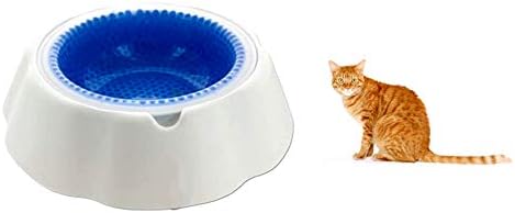 chilled cat food bowl
