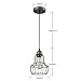 YOBO Lighting Minimalist 1-Light Oil Rubbed Bronze Hanging Pendant Light LOFT Wire Cage Guard