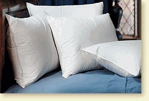 Pacific coast touch of down standard pillow set (4 stan…