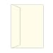 Southworth Resume Envelopes (9x12 Inches) and Labels, 25% Cotton, 24 lb, Ivory, 25 Count Envelopes and 25 Count Labels (RF#4Q)