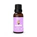 AromaOils Lavender Oil - 1 oz - 100% Pure Therapeutic Grade Scented Essential Oil - Best Now for Relaxation, Sleep, Headache, Migraine Relief, Stress Reduction, Massage Oil - Hair Shampoo, Scalp Treatment, Body Wash, Soap